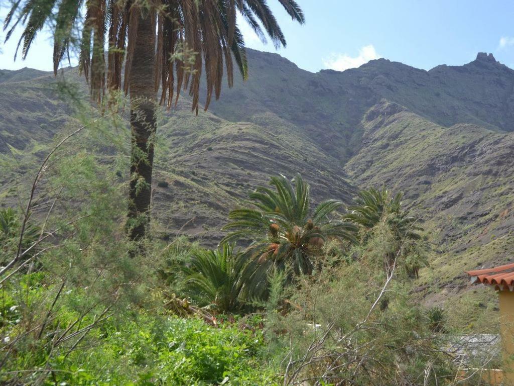 Casa Los Palmeros Perdomo Alojera Bagian luar foto